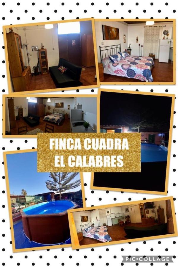 La Cuadra Finca El Calabres Aguimes Exterior photo